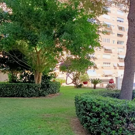 Holidays At My Spanish Grandma Alicante