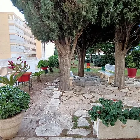 Holidays At My Spanish Grandma Séjour chez l'habitant Alicante